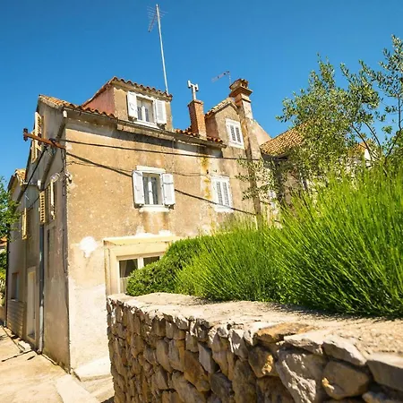 Holiday House Nato *